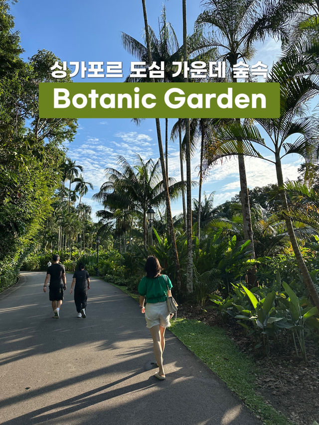 싱가포르 도심 한 가운데 숲속🌳 보태닉 가든 