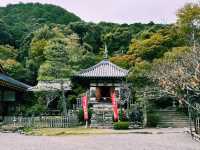 日本京都著名寺廟景點：二尊院，適合打卡拍照📸