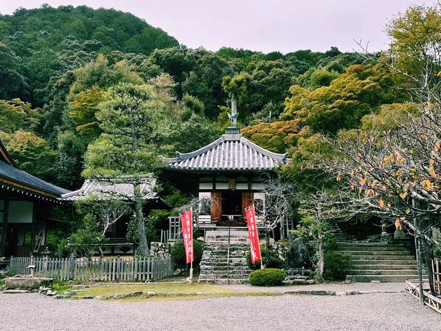 日本京都著名寺廟景點：二尊院，適合打卡拍照📸