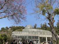  **🌵【廈門必打卡】園林植物園多肉區：闖入奇幻沙漠綠洲，與3000種多肉共舞！🏜️**  