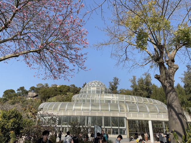  **🌵【廈門必打卡】園林植物園多肉區：闖入奇幻沙漠綠洲，與3000種多肉共舞！🏜️**  