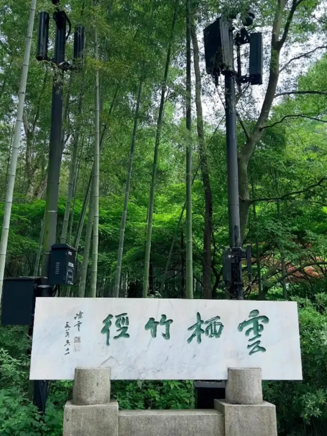 Yunqi Bamboo Path– Hangzhou’s Most Ethereal Bamboo Forest