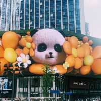 🇨🇳:成都 ビルをよじ登るパンダに驚き！写真必須のショッピング天国🐼🏢