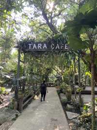 1 Day trip เขาใหญ่  