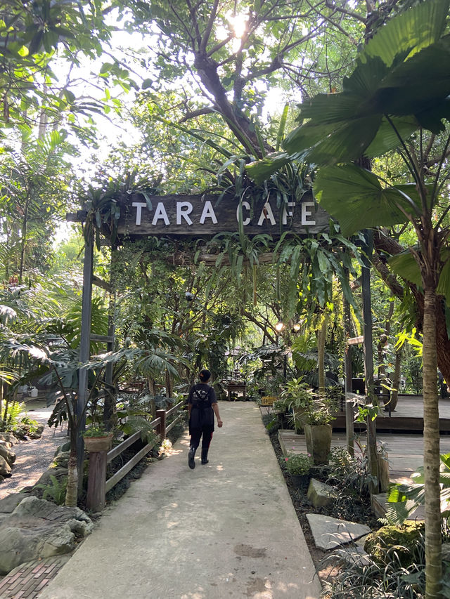 1 Day trip เขาใหญ่  