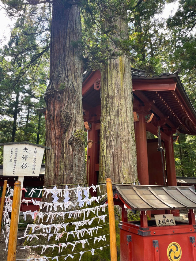 うさぎやハートのモチーフがかわいい🧡縁結びで有名な日光二荒山神社⛩️