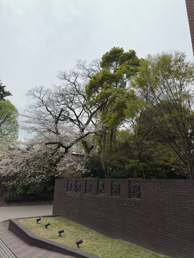 東京景點｜東京都美術館