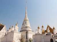 วัดพระวรราชาทินัดดามาตุ 