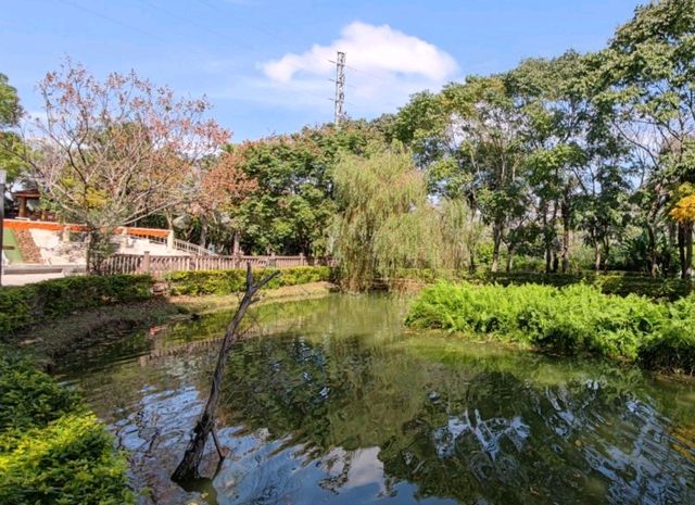 #桃園市客家文化館-桃園市龍潭區