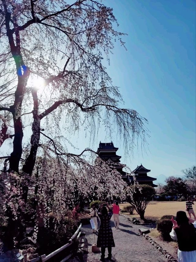 松本市區一日遊行程，從城堡漫步到老街文青時光。