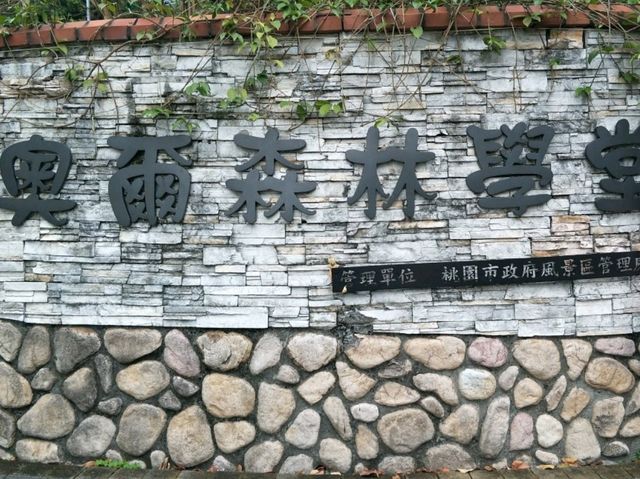 #奧爾森林學堂-桃園市桃園區