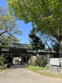 【長野】今だけ!!お城と桜の超穴場スポット