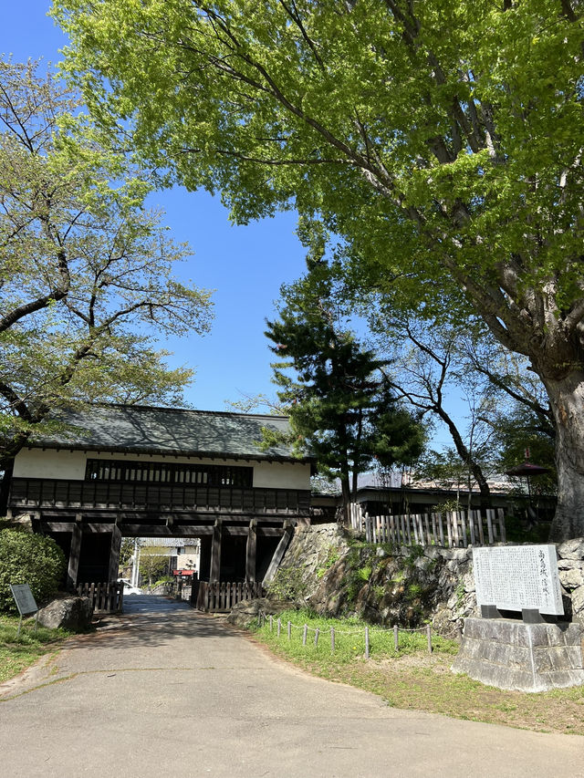 【長野】今だけ!!お城と桜の超穴場スポット