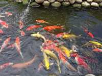Batam Zoo Paradise