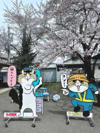 Cherry Blossom in Miyagi, having fun in Disneyland, relaxing time in onsen.