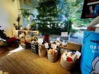 Project Can Café – A Hidden Gem in Penang’s Art Scene