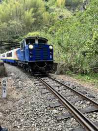走讀阿里山林道鐵路的百年風華～奮起湖站到十字路站