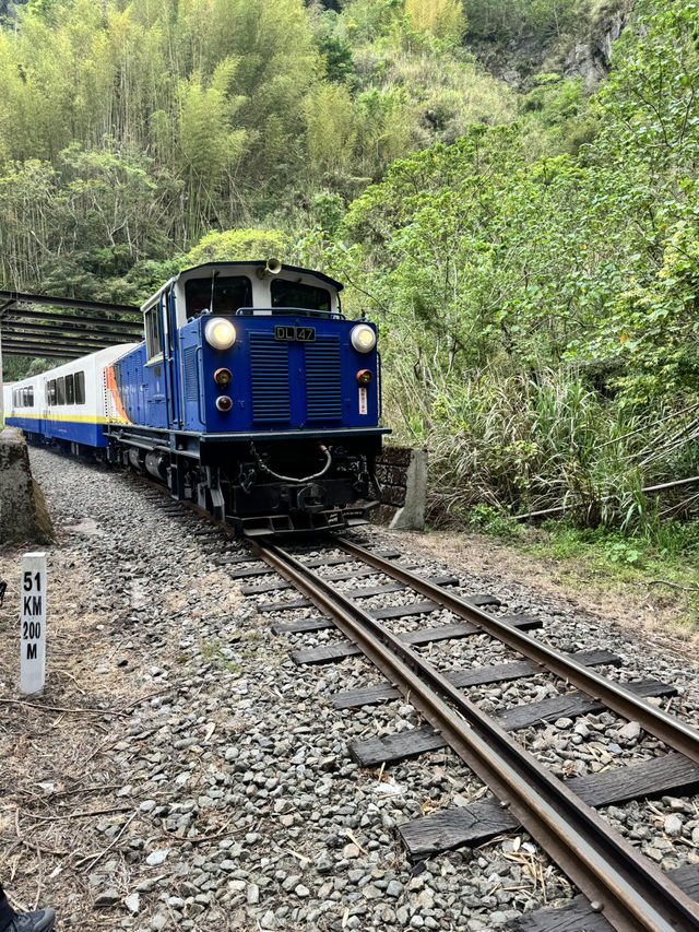 走讀阿里山林道鐵路的百年風華～奮起湖站到十字路站