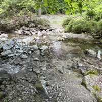 【局ヶ岳】⛰️ まつさかイレブン