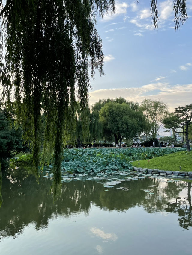 🌳 수원 당일치기 여행 정복!