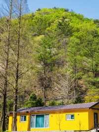 Onbit Natural Recreation Forest: An April Retreat to Lakeside Tranquility and Historic Charm 🌳🏡 