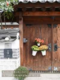 【恩平韓屋村】静かな韓屋村！穴場のおすすめスポット
