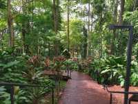 🌿 Sandakan Memorial Park: Where History Whispers Among the Trees