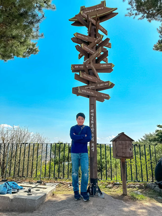 Scenic Spots in Suwon for Sakura Viewing!