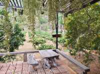 บ้านหมากม่วง เขาใหญ่