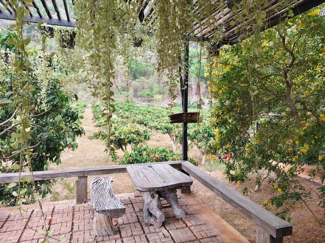 บ้านหมากม่วง เขาใหญ่