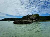 Whispers of the Wild: Sharing Thoughts After an Unforgettable Journey to Bako National Park