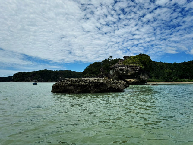Whispers of the Wild: Sharing Thoughts After an Unforgettable Journey to Bako National Park