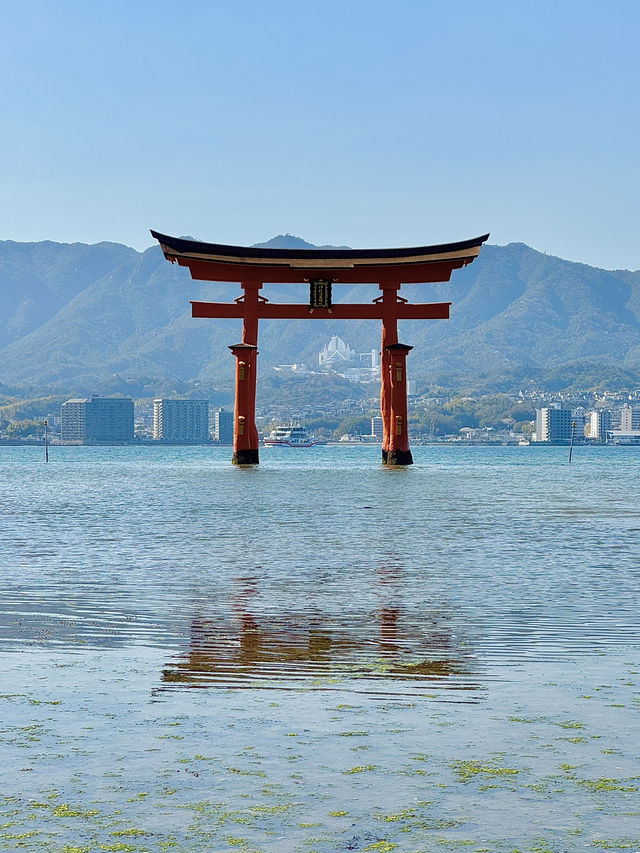 【広島/宮島】宮島日帰り旅行