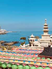 Lanterns Aglow by the Sea: Celebrating Vesak at Haedong Yonggungsa Temple