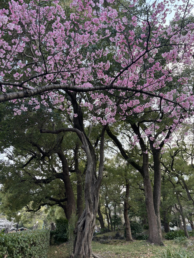 【黄昏時の日比谷公園と日比谷松本楼を歩いて】