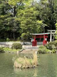 📍 洗足池公園/東京
