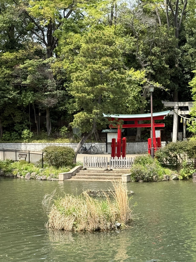 📍 洗足池公園/東京