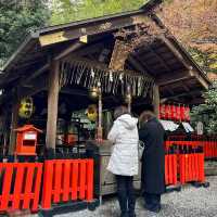 🇯🇵【京都】パワースポット！野宮神社！良縁、子宝、学問の神様♪(^^)