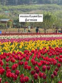 EP.4 ทริปแคชเมียร์ จะได้เป็นนักท่องเที่ยวกี่โมง 🇮🇳