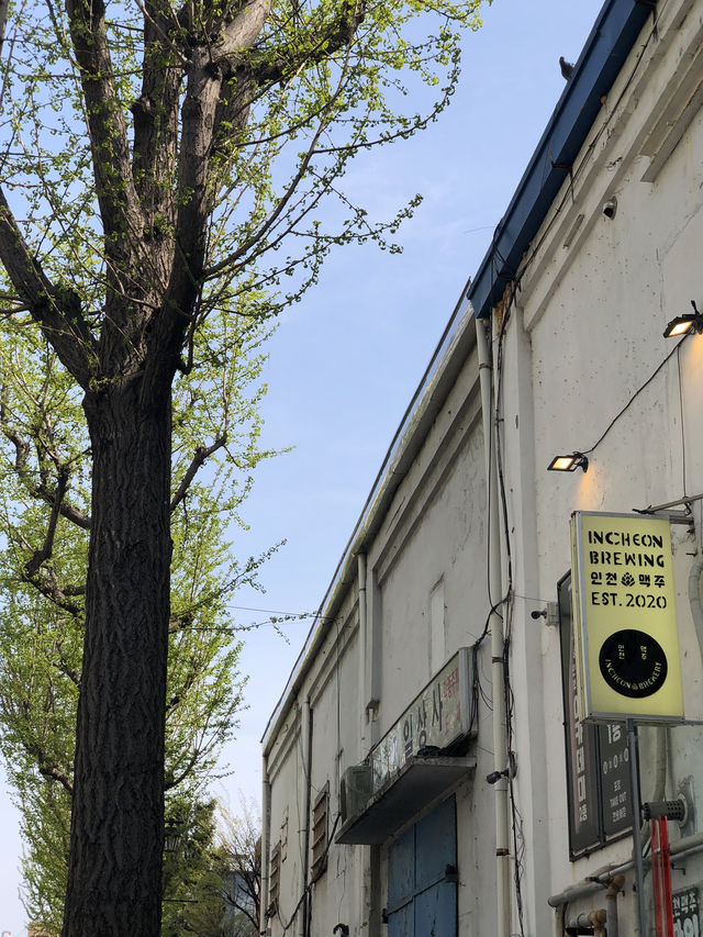 🍺 인천 중구의 로컬 수제맥주 양조장 – 인천맥주