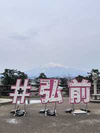 絕美賞櫻勝地 陰天也超美 弘前公園☺️