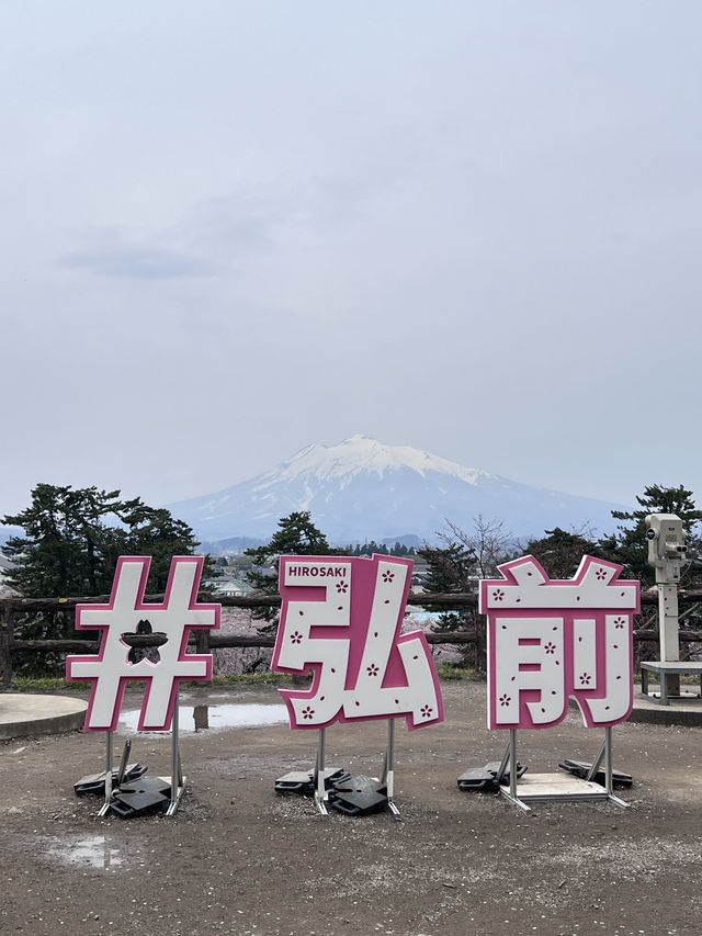 絕美賞櫻勝地 陰天也超美 弘前公園☺️