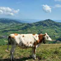 Swiss Fairytale Escape: Hiking, History & Heavenly Views in Schwende-Rüte
