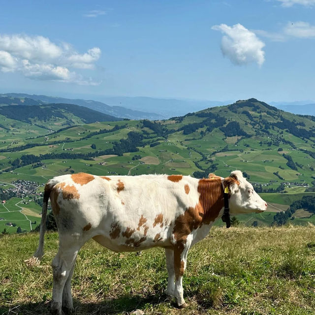 Swiss Fairytale Escape: Hiking, History & Heavenly Views in Schwende-Rüte