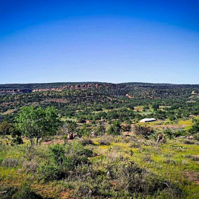 Willow City Loop (Bluebonnet Trail) – TX Hill Country