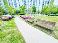 A Park for Everyone: Gungri’s Charm