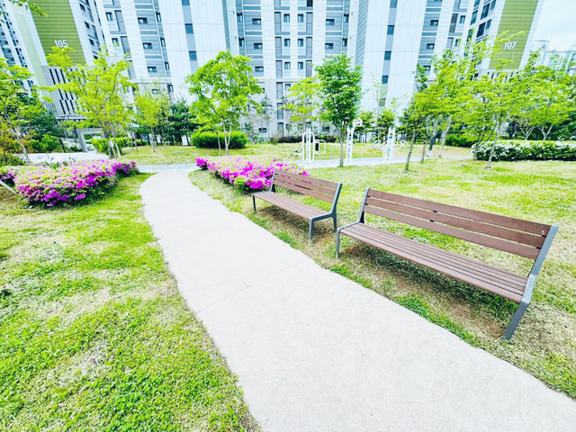 A Park for Everyone: Gungri’s Charm