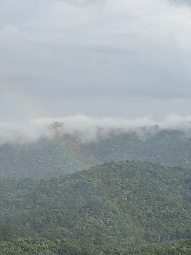 บ้านโฮมเตย์ จ.เชียงใหม่ 🏡⛰️🌧️🌳