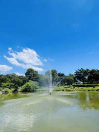 Jeju's Beauty at Seogwipo Chilshimli Park