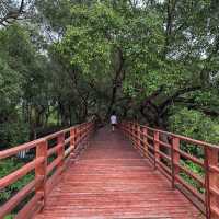 เดิน🚶ชิล ธรรมชาติ @ป่าในเมืองระยอง